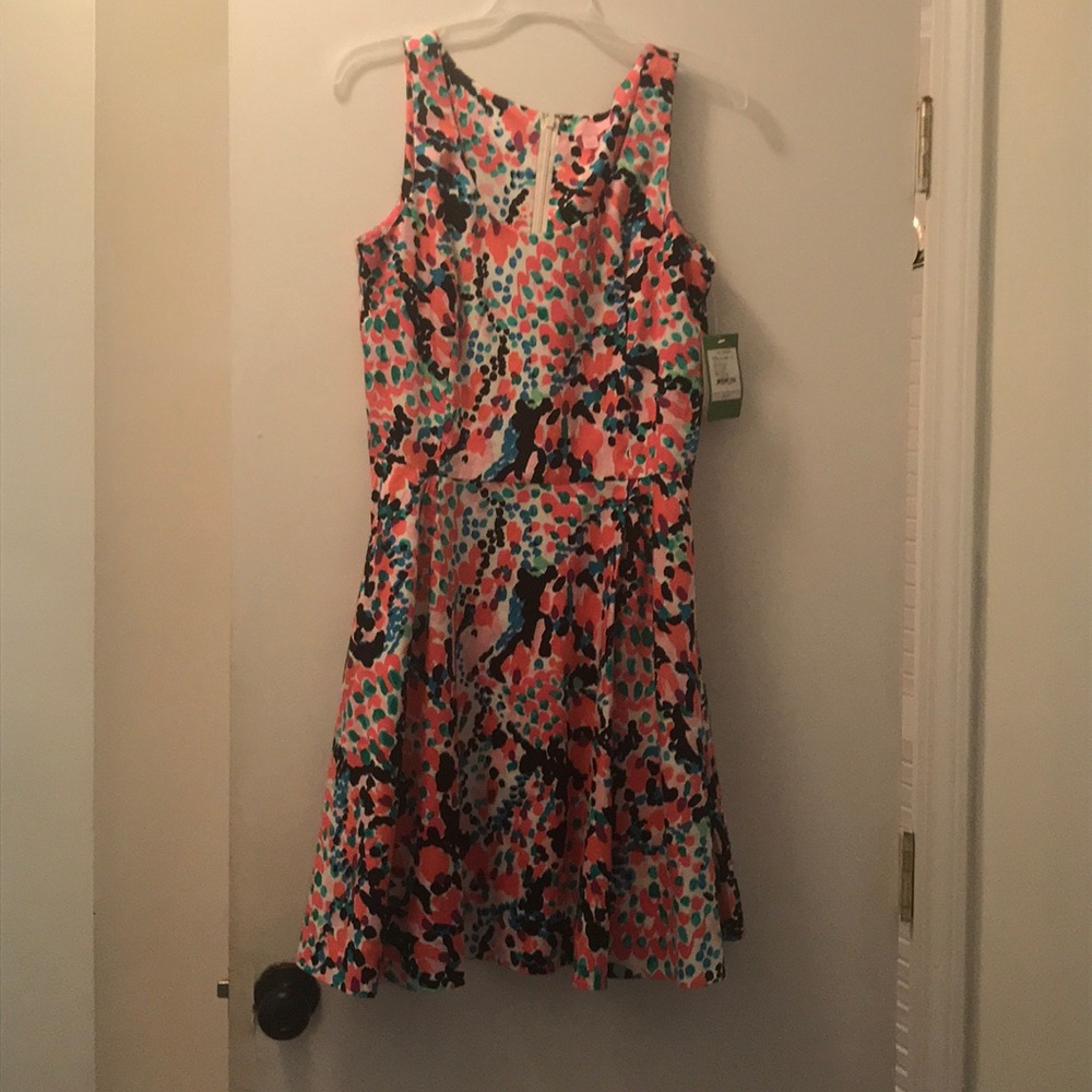 NWT Lilly Pulitzer gosling dress